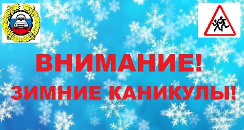 На территории Саратовской области стартовало профилактическое мероприятие «Внимание, зимние каникулы!».
